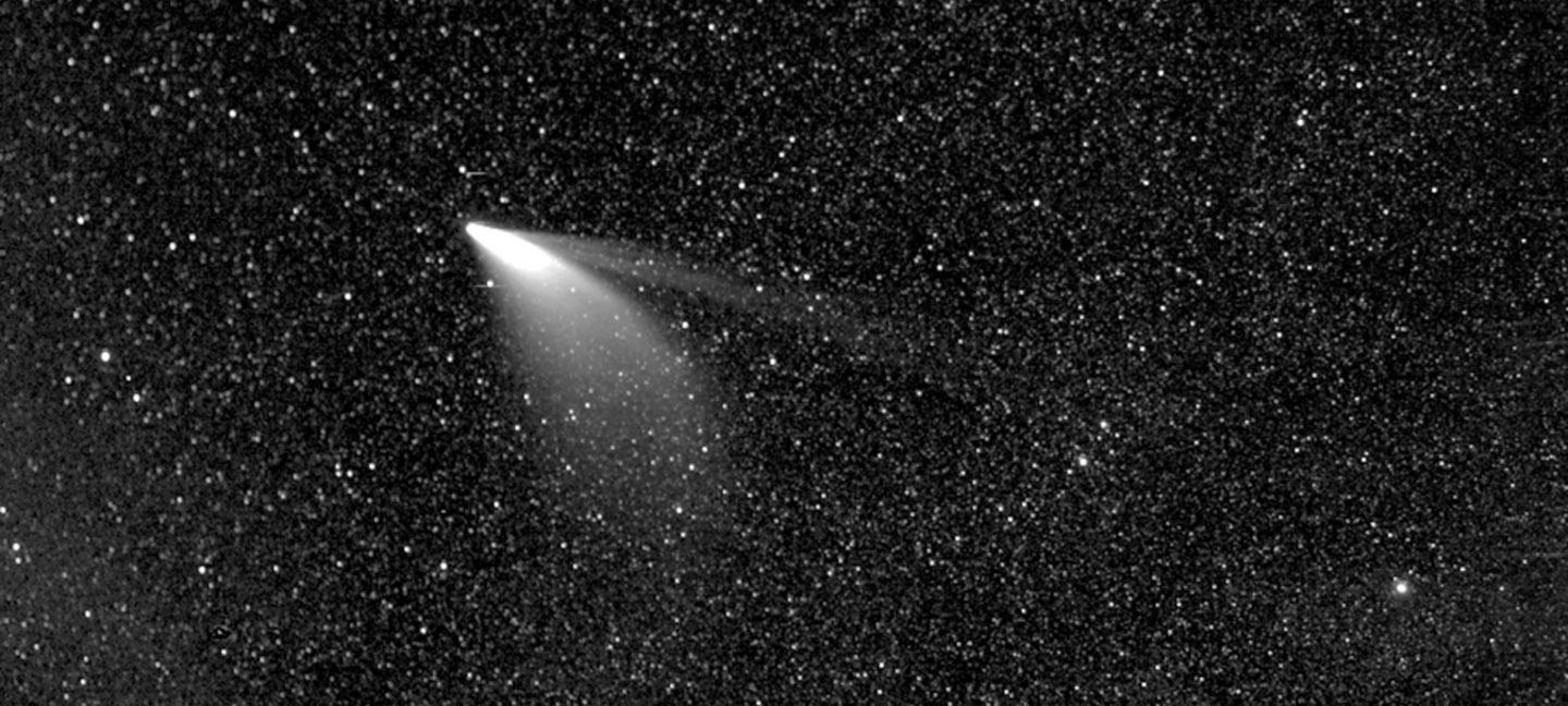 Image of comet Neowise
